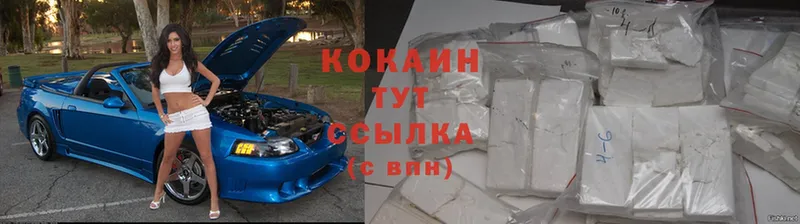 цена   Купино  COCAIN Fish Scale 