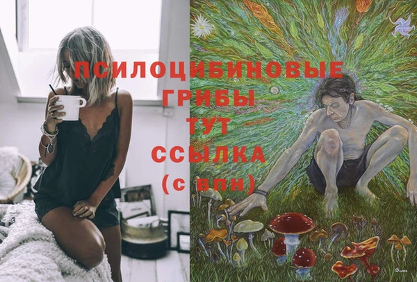 трава Нязепетровск