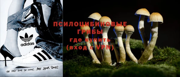 экстази Нягань